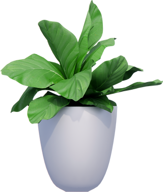 flower plant pot decor